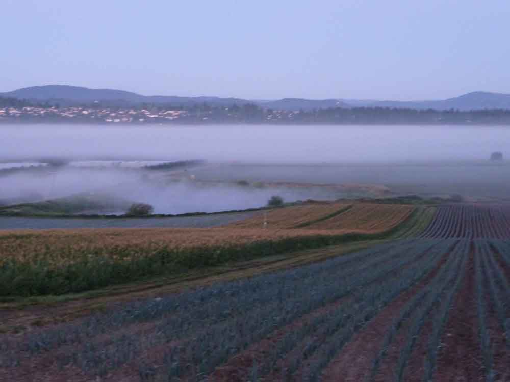 Fog over Mitchel Farms